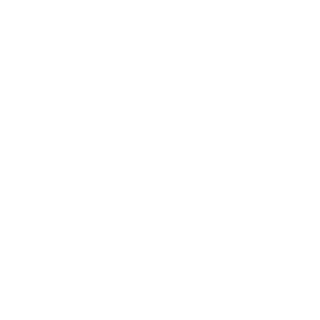 OpenAI - AI Partner